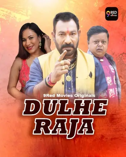 Dulheraja - MoviesFlix, VeGaMoviese